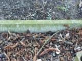 image of grave number 240871